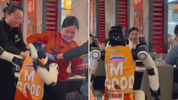 Haidilao robot goes out of control during dance…