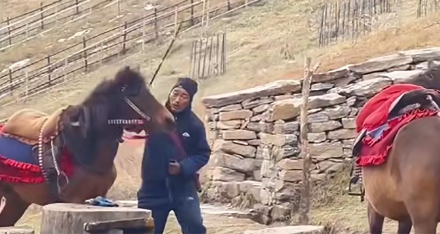 भिडियो भाइरल भएपछि दोषी पक्राउ…