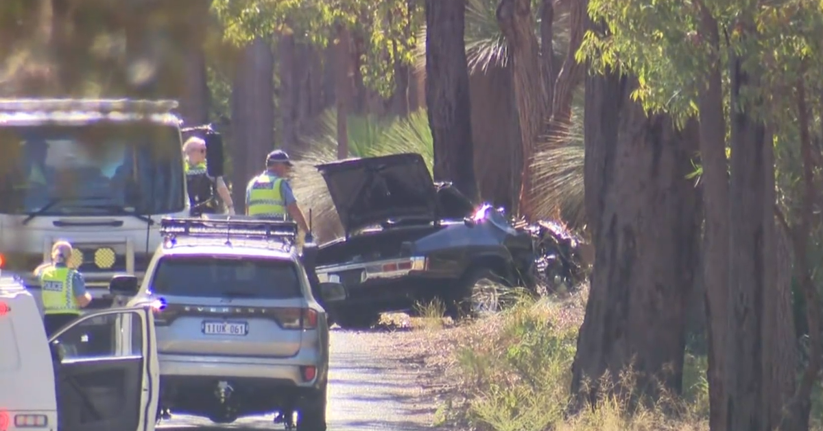 Three dead after car flips on its side after slamming into a tree in ...
