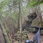 Exploring Guelph: Our Conservation Area Adventures