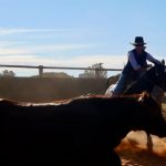 Topar Campdraft Clinic riders take the reins and get hooked on the sport