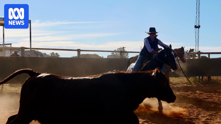 Topar Campdraft Clinic riders take the reins and get hooked on the sport