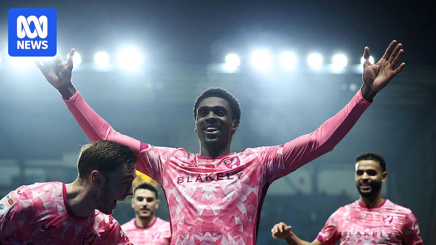 Socceroos star Mo Toure says he went with a hunch by moving to Norwich City