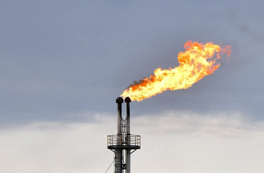 UAE quits OPEC, triggering what experts say could be a full cartel collapse