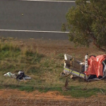 Boy killed, two other teenagers fighting for life after ute hits tree