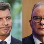 New post-budget poll reveals mixed verdict for Anthony Albanese, Angus Taylor