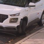 Manhunt underway in Vaucluse after cars smashed, house broken