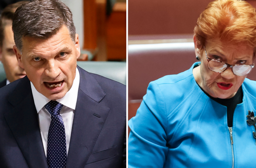 Opposition pledges historic immigration cuts in perceived bid to ward off One Nation