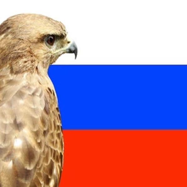 Putin Powerfully Rebuffed the Hawks Who Want Him…