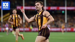 AFL Round 13 live updates: Hawthorn vs Western&hellip;