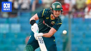 Australia wins T20 series with six-run win over&hellip;