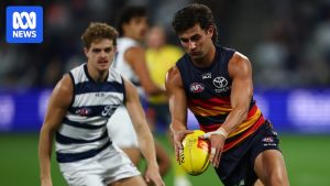 AFL Round 13 live updates: Adelaide vs Geelong&hellip;