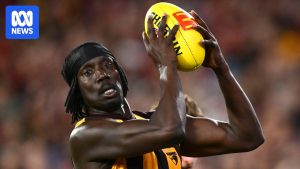 AFL and Hawks stand behind Mabior Chol after&hellip;