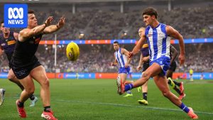 AFL Round 13 live updates: North Melbourne vs&hellip;
