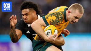 Wallabies and All Blacks to play Bledisloe Cup&hellip;