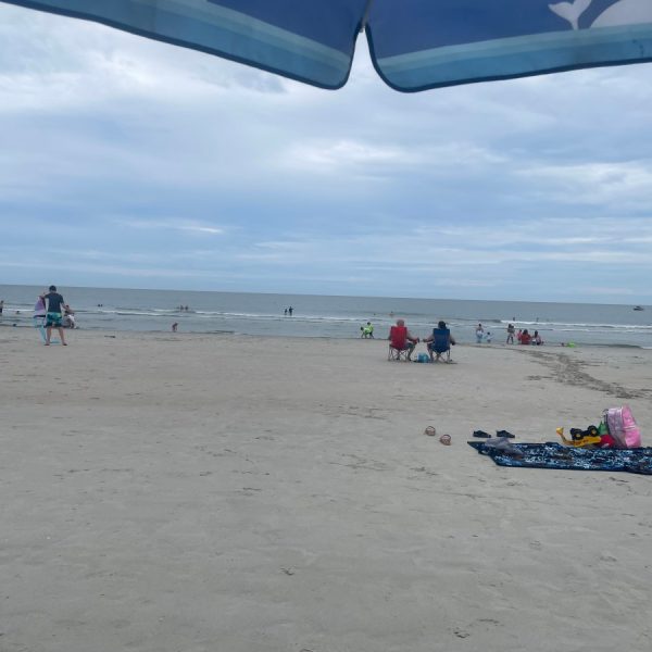 Catherine on family beach vacations, 2026 edition –…
