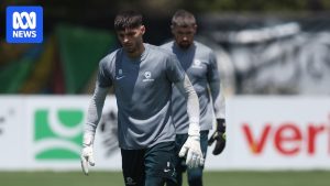 FIFA World Cup: Socceroos should play Mat Ryan&hellip;