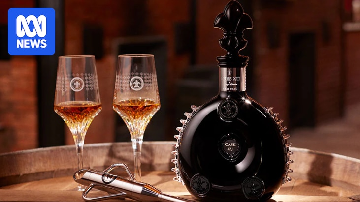 Wannabe Olympic MMA group tried gifting $82,000 cognac to Brisbane Games committee