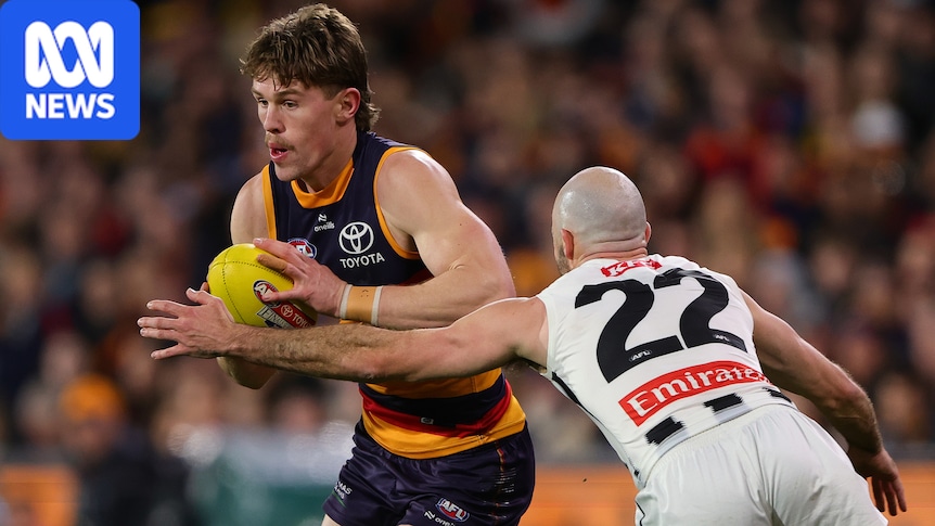AFL live updates: Adelaide Crows vs Collingwood at Adelaide Oval round 20 blog, scores and stats