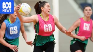 Player agents express concern as Super Netball pay&hellip;