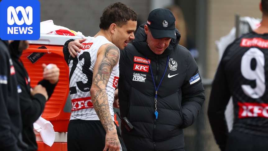 Collingwood coach Craig McRae says Bobby Hill will ‘always be welcome’ at club as he gets set to cut contract