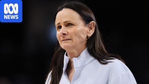 Sandy Brondello suspended by WNBA for inappropriate comment&hellip;