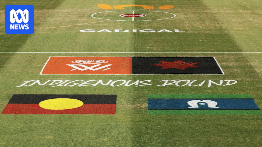 Racism remains a key issue for AFL players while Indigenous women’s players rate workplace culture low