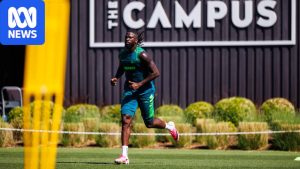 Wolves striker Tolu Arokodare allegedly forces training cancellation&hellip;