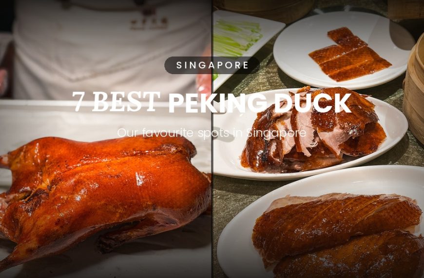 Best Peking Duck In Singapore