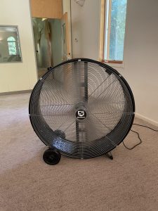 the fans – FIT IS A FEMINIST ISSUE