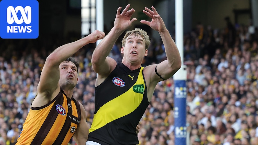 AFL round 19 live updates: Richmond vs Hawthorn, Gold Coast vs Western Bulldogs, Essendon vs GWS — blog, scores and stats
