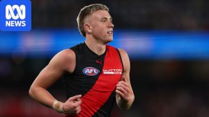 Essendon star Nate Caddy cleared to face Hawthorn&hellip;