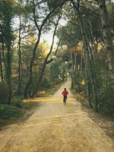A  new close to me rail trail! –&hellip;