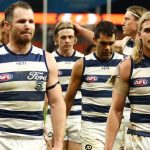Cats claim they are not distracted by concussion controversy ahead of AFL elimination final