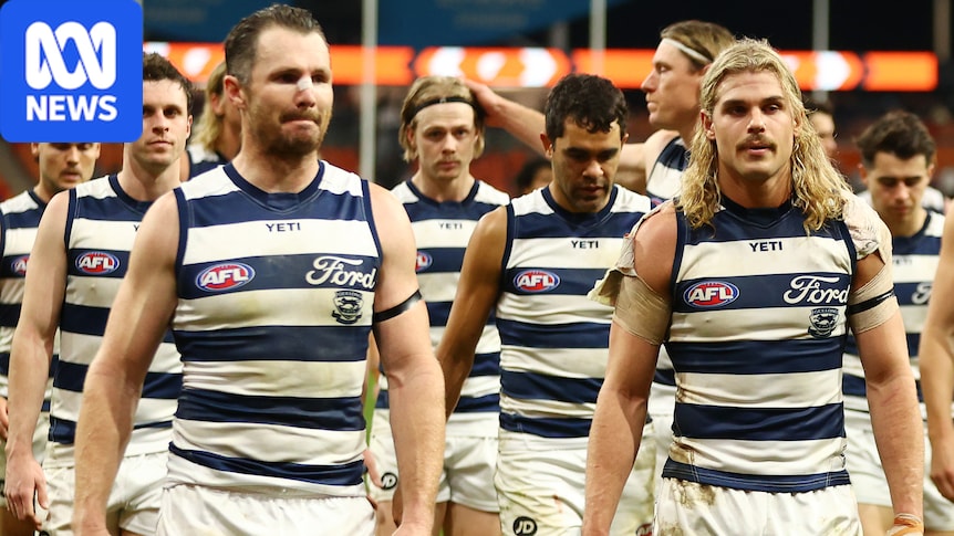 Cats claim they are not distracted by concussion controversy ahead of AFL elimination final