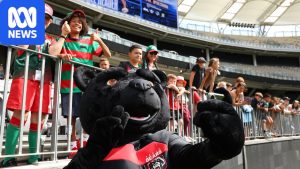 Perth Bears CEO Anthony De Ceglie to leave&hellip;