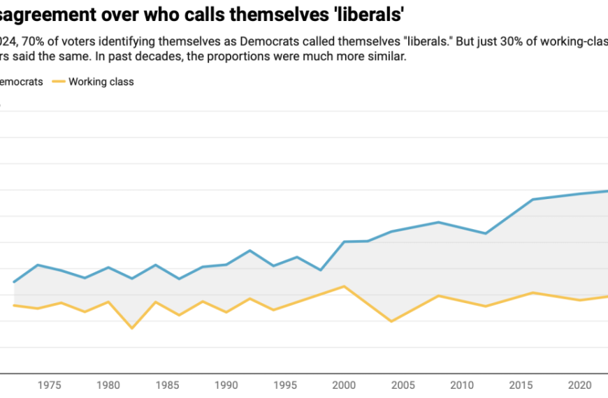 Democrats Have a Working‑Class Voter…