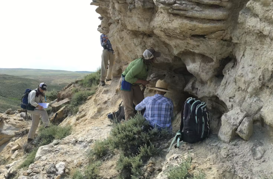 Ancient Forests Took 100,000 Years…