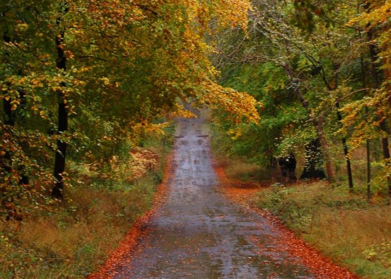 Fresh air and fresh thoughts about fall riding – FIT IS A FEMINIST ISSUE