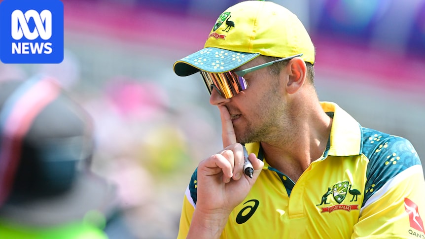 Australian middle order collapses again as South Africa claims ODI victory