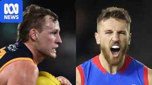 Adelaide and Bulldogs set for a blockbuster finals&hellip;