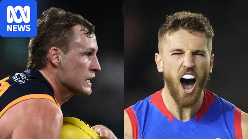 Adelaide and Bulldogs set for a blockbuster finals clash