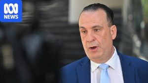 Peter V’landys steps down as Racing NSW boss&hellip;