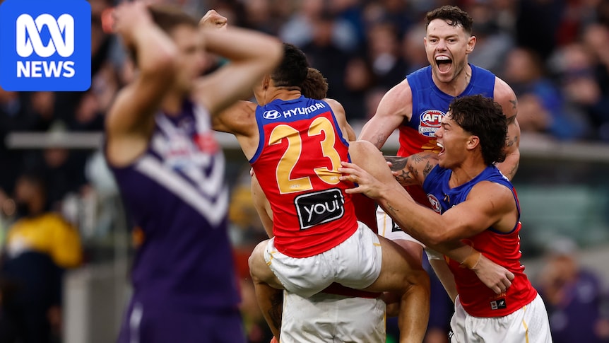 Brisbane’s belief sparks cruellest Fremantle collapse in AFL grand final’s most visceral day