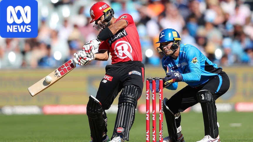 Cricket Australia agrees to bring private investment to…