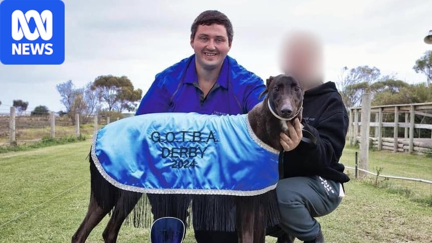 Greyhound trainer handed lifetime ban for failing to disclose dog’s leg fracture to new owner