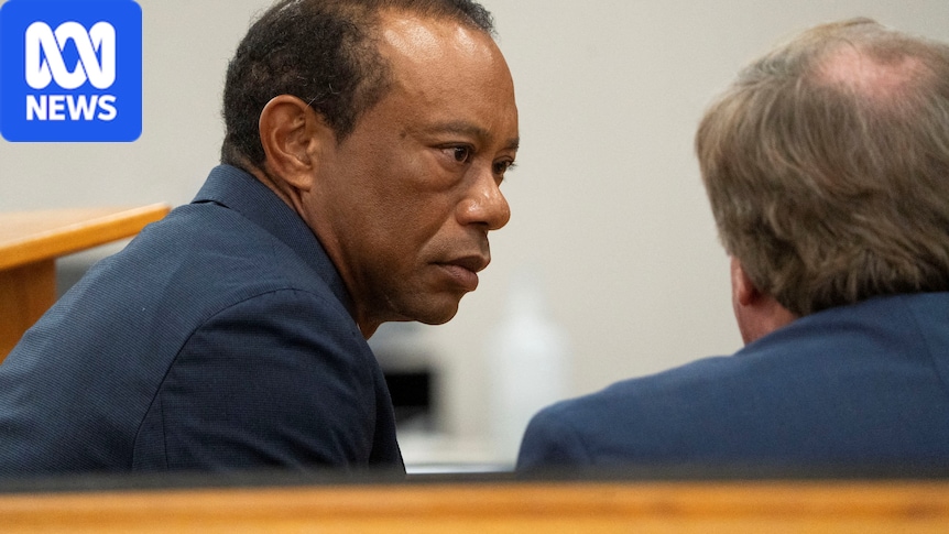 Champion golfer Tiger Woods loses driving licence for five years after plea deal