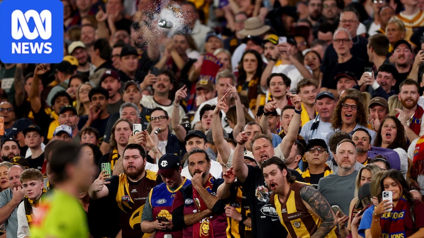 AFL umpire felt ‘threatened’ by abuse from Hawks players and fans as police charges spectator