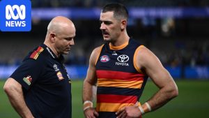 After Adelaide’s crushing AFL semifinal loss, where to&hellip;