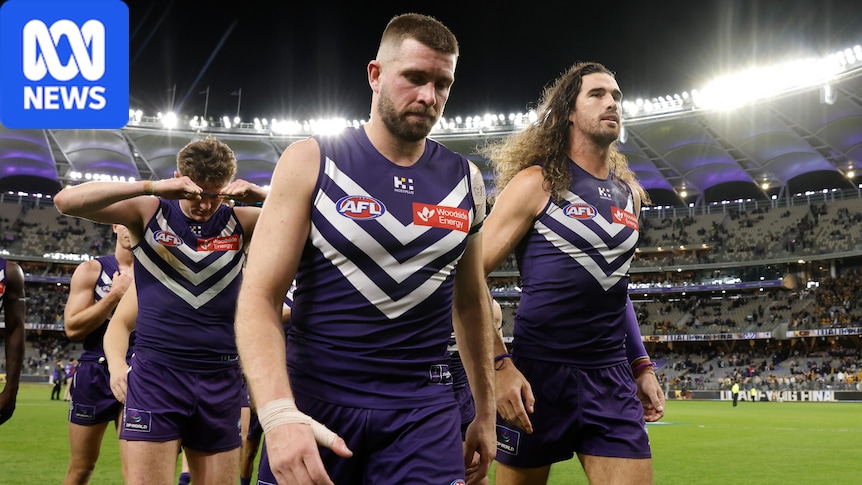 Frantic Hawthorn pressure brings Dockers undone in dominant AFL finals win